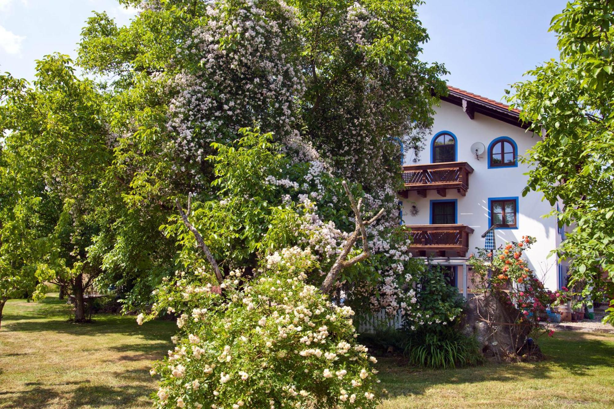 Ferienwohnung Moierhof Palling Zewnętrze zdjęcie
